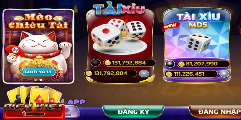 Trang chủ chính thức của Richviet.